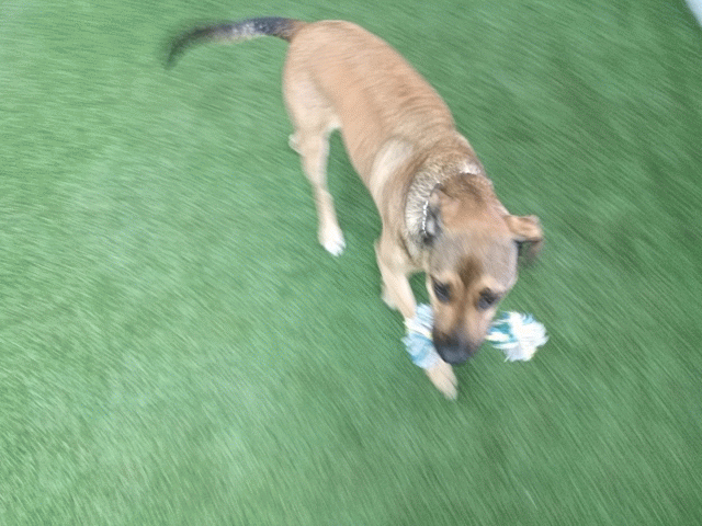 Mine!